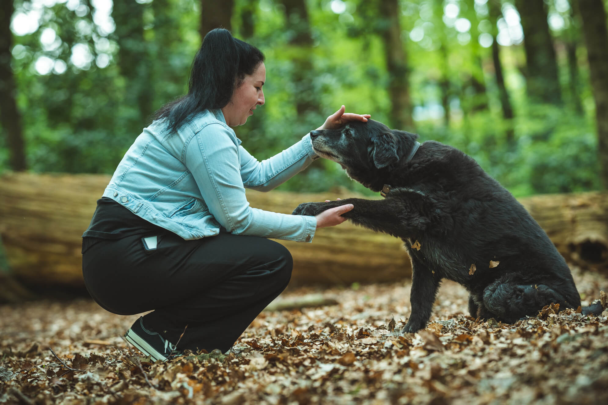Hundefotografie Ostfriesland
